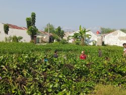 Kerja Bakti di Perumahan BCR Sindangmulya Bersihkan Lingkungan