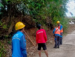 Kebakaran Akibat Jalur Listrik PLN Hanguskan Lahan di Desa Sukabungah